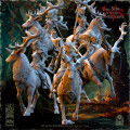 The Beholder Miniatures - Sylvains - Cavalières des Sous-Bois 12