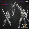 White Angel Miniatures - Slave to Darkness - Dark Beast Tamer 1