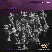 White Angel Miniatures - Slave to Darkness - Blood Drinker