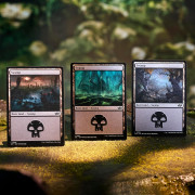 Magic the Gathering : Land station 2025 3