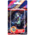 D&D Icons of the Realms Premium Figures - Tiefling Female Sorcerer 0