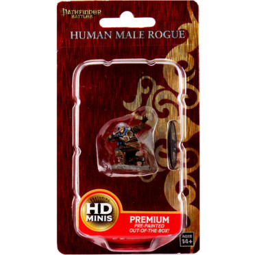 Pathfinder Battles Premium Figures - Human Rogue Male