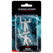 D&D Nolzur's Marvelous Unpainted Miniatures: Human Wizard Male