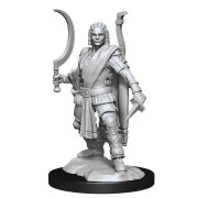 D&D Nolzur's Marvelous Unpainted Miniatures: Human Ranger Male