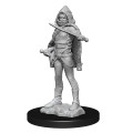 D&D Nolzur's Marvelous Unpainted Miniatures: Darkling Elder & Darklings 2