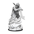 D&D Nolzur's Marvelous Unpainted Miniatures: Djinni 2