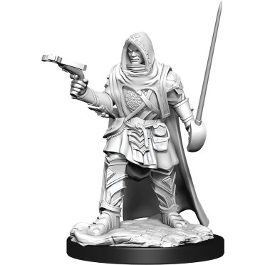 D&D Nolzur's Marvelous Unpainted Miniatures: Human Rogue Male