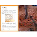 Les Jeux du Sahara 1