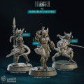 Cast n Play - Northwind Vikings - Complet Set 3