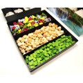 Insert compatible avec Earth et extension Abondance 3