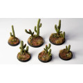 Basing Bits - Sagaro Cacti 4