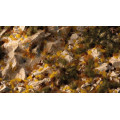 Gamers Grass - Golden Autumn Glade Basing Box 2