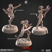 Cast n Play - Vampires - Valkyries de Minuit