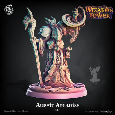 Cast n Play - Tour du Sorcier - Aussir Arcanis