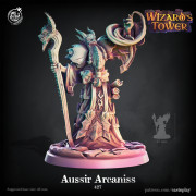 Cast n Play - Tour du Sorcier - Aussir Arcanis