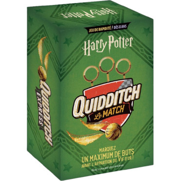 Harry Potter - Quidditch Express