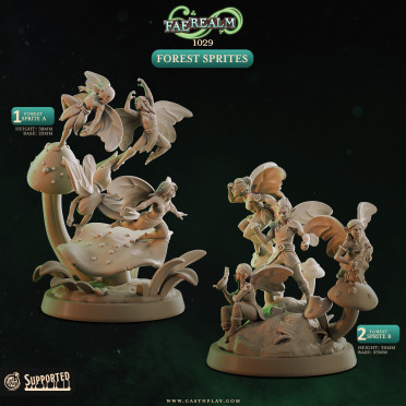 Cast n Play - Royaume Féerique - Esprits de la Foret