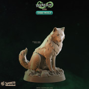 Cast n Play - Royaume Féerique - Loup