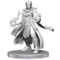Critical Role Unpainted Miniatures: Beauregard Lionett & Caleb Widogast 1