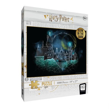 Puzzle - Harry Potter: Magic of Hogwarts - Glow in the dark - 1000 pcs