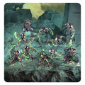 W40K - Bataillon 500 Worlds : Nécrons 7