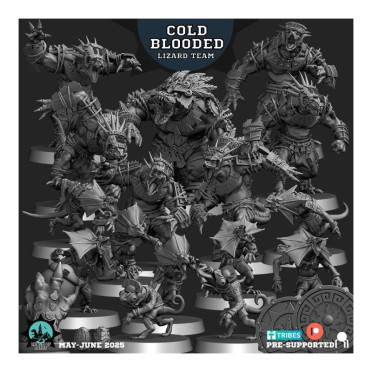 Cold Blooded - Lizardmen Team