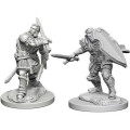 D&D Nolzur’s Marvelous Miniatures - Human Male Paladin 0