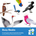 Busy Beaks 0