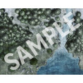 Pathfinder Flip-Mat: Boreal Forest 1