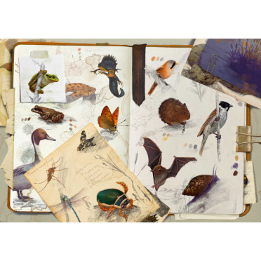 Puzzle Biotopes - 1000 Pièces