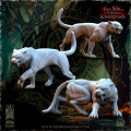 The Beholder Miniatures - Sylvains - Pumas 1
