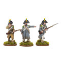 French Infantry in Greatcoats (1804-1814) 2