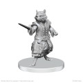 Pathfinder Battles Deep Cuts Unpainted Miniatures: Procyal & Zoaem 1