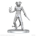 Pathfinder Battles Deep Cuts Unpainted Miniatures: Vordine & Pitborn Rogue 1