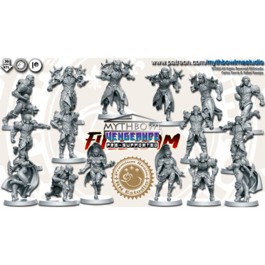 Elfes noirs vengeance - Équipe