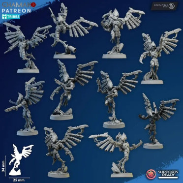 Ghamak - Vulturak - Charognard principal