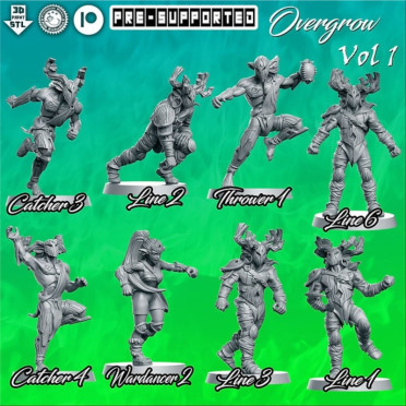 Elves Sylvain Overgrown Complete team