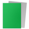 100 Dragon Shield Matte : Apple Green & Silver 1