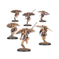 The Horus Heresy : Legio Custodes - Venatari Sodality 1