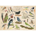 Puzzle - Les Oiseaux du Jardin - 100 pièces 1