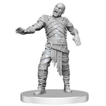 D&D Nolzur's Marvelous Miniatures: Swarm of Rot Grubs & Rot Grub Victim