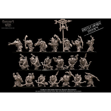 Boite de Avatars of wars - Régiment d'archers Gobelins