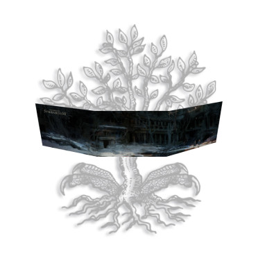 Boite de Les Ruines de Symbaroum - Écran
