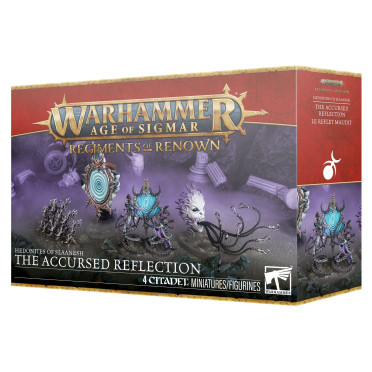 Boite de Age of Sigmar : Hedonites of Slaanesh - Régiment de Renom : Le Reflet Maudit