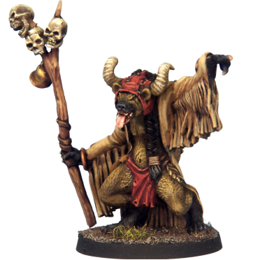 Boite de 7TV - Gnoll Shaman