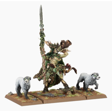 Boite de Warhammer - The Old World - Royaume des Elfes Sylvains : Orion, le Roi de la Forêt