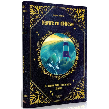 Boite de Navire en Détresse