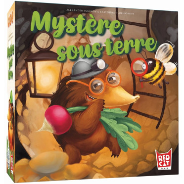 Boite de Mystère Sous Terre