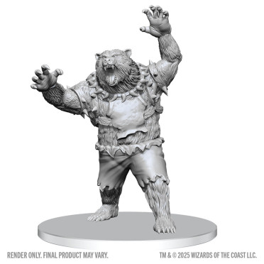 Boite de D&D Nolzur's Marvelous Miniatures: Werebear