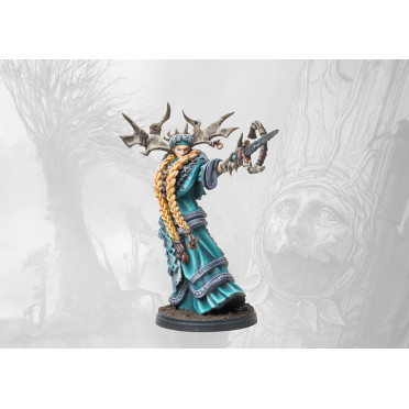 Boite de Conquest - Nords - Faithbearer Reginleif